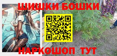 МДПВ Лесосибирск