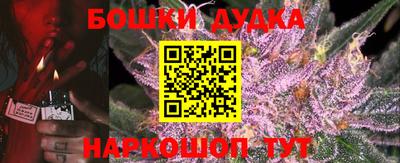 МДПВ Лесосибирск