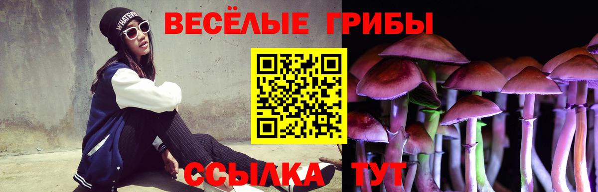 Галлюциногенные грибы мицелий Жигулёвск